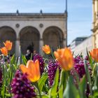 Blumen für die Feldherrn