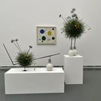 "Blumen für die Kunst"  2