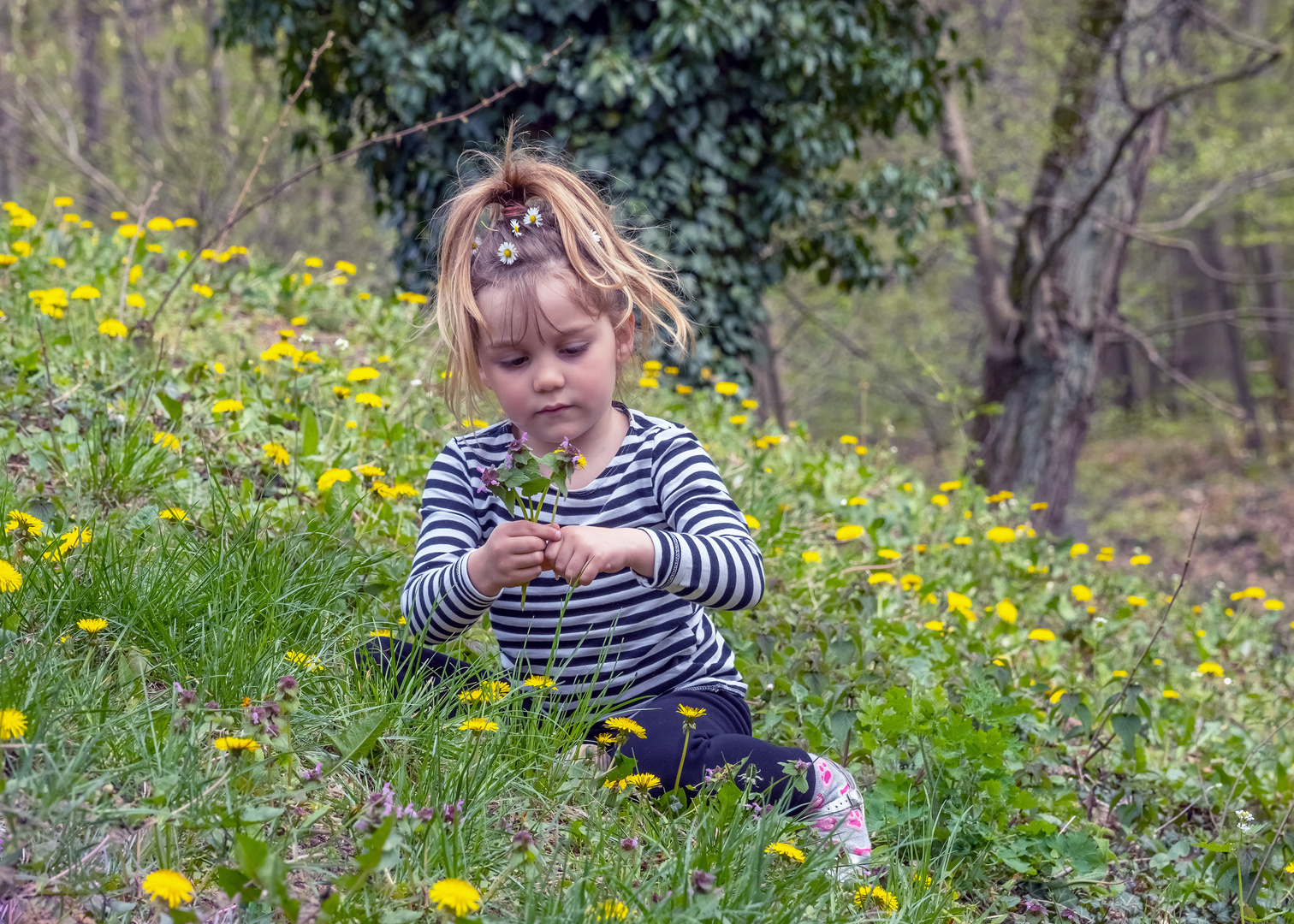 Blumen für die Mama