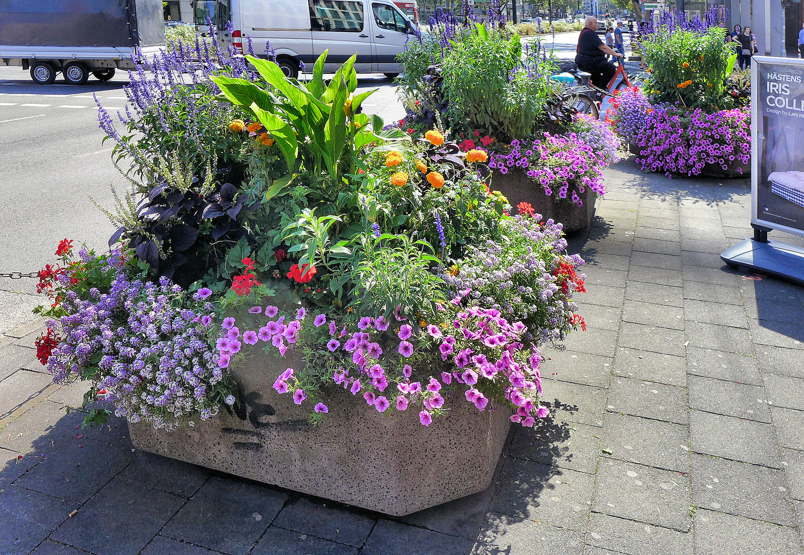 Blumen für die Stadt