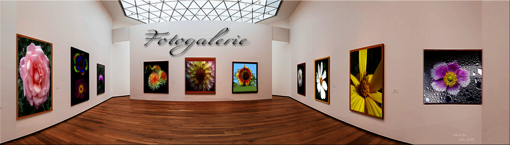 Blumen Galerie 