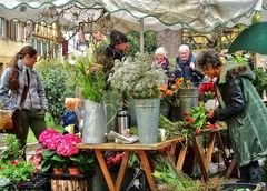 Blumen gegen den grauen Tag