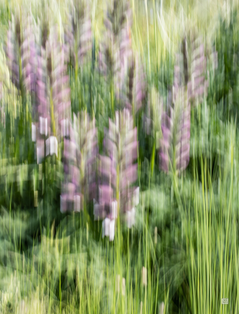 Blumen - gestische Fotografie