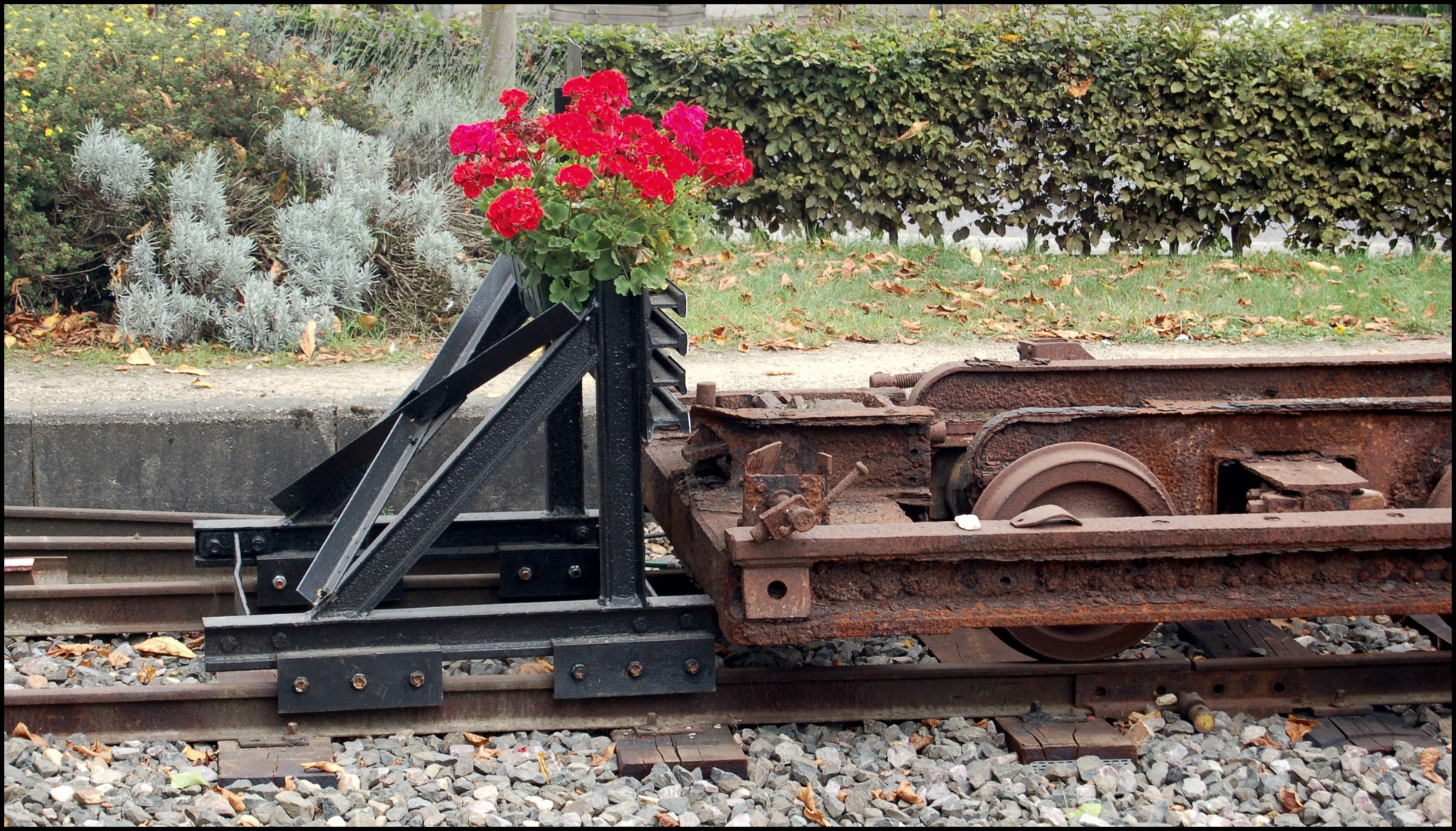 Blumen gießen nicht vergessen.....