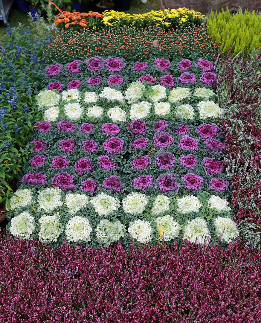 Blumen, Heidekraut und Gemüse