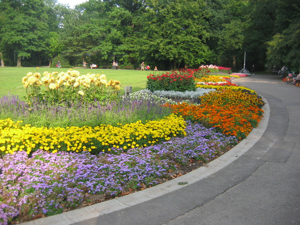 Blumen im Clara-Zetkin -Park