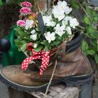 Blumen im DekoSchuh