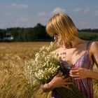 Blumen im Feld