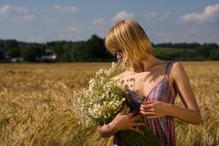 Blumen im Feld