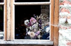 Blumen im Fenster