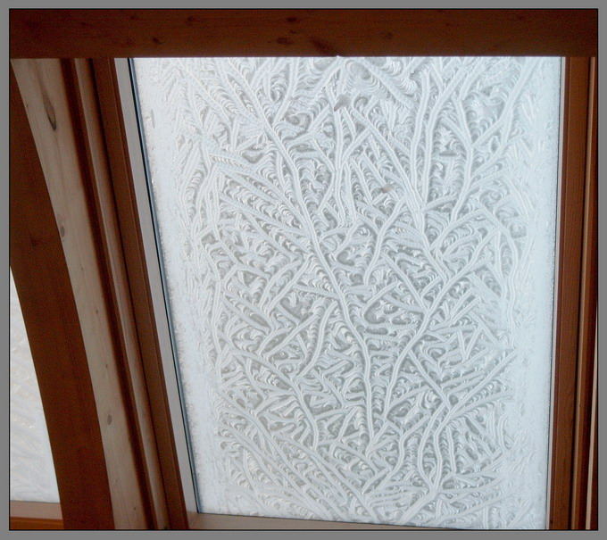 Blumen im Fenster von Ralph Binder