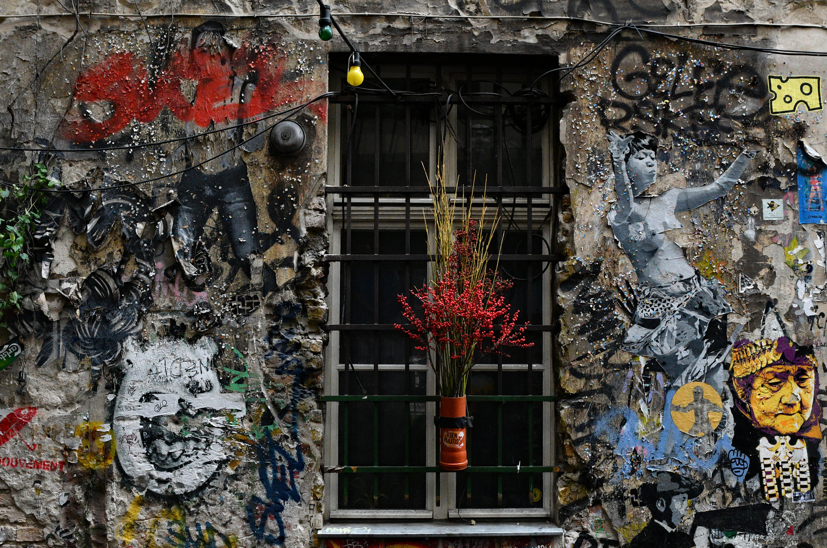 Blumen im Fenster