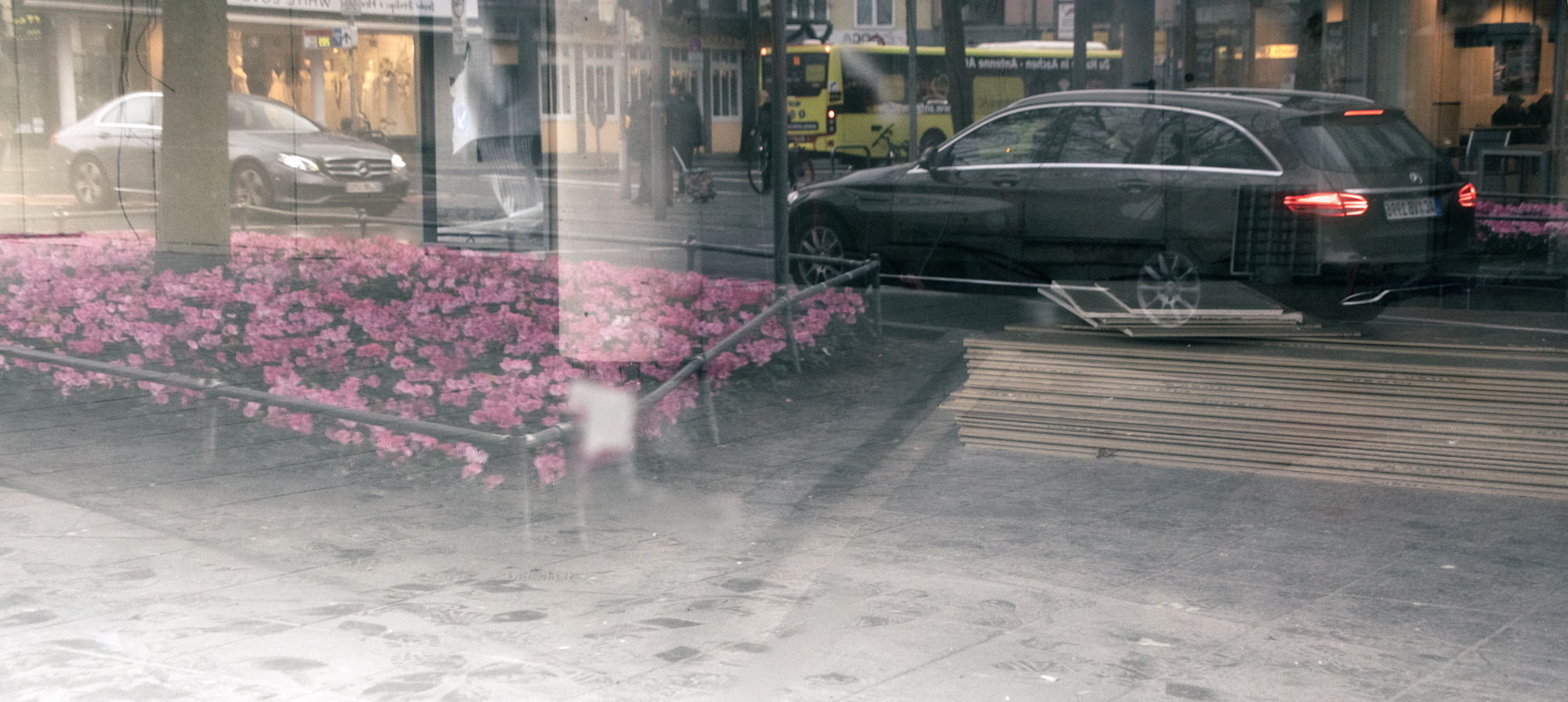 Blumen im Fenster