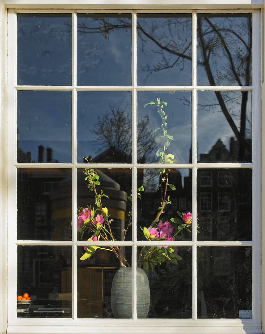 Blumen im Fenster