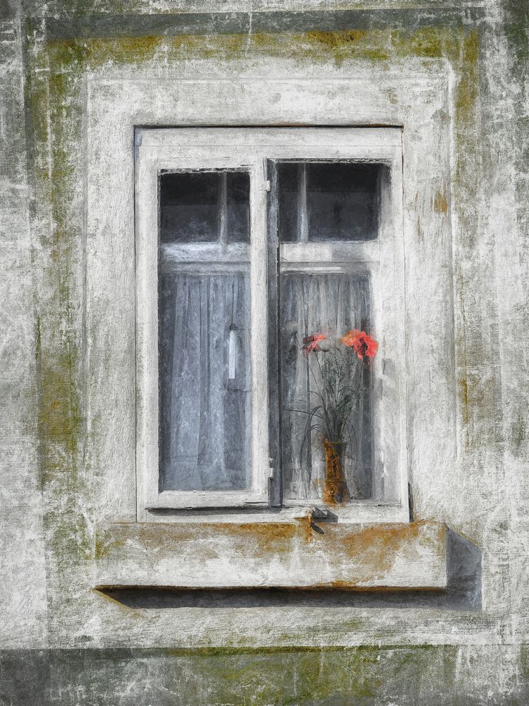 ... Blumen im Fenster