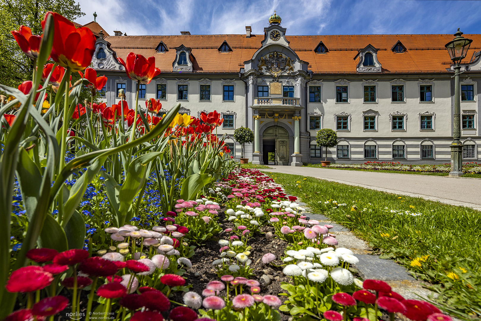 Blumen im Fronhof