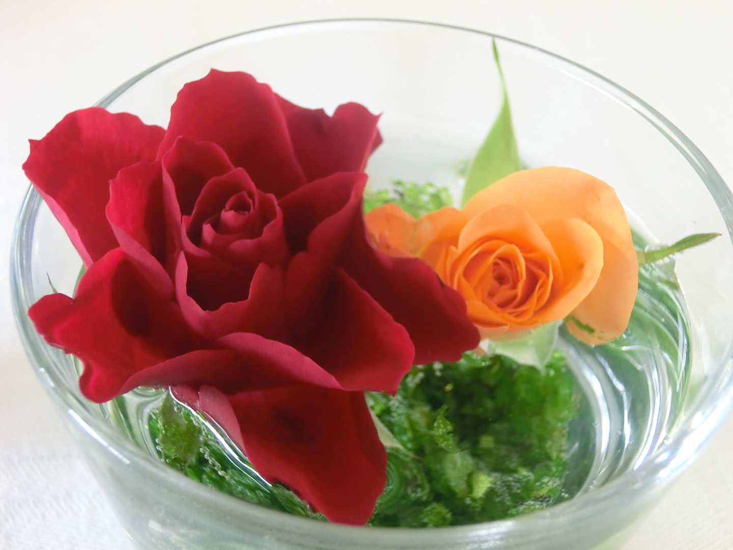 Blumen im Glas Foto & Bild | anfängerecke - nachgefragt, nachgefragt