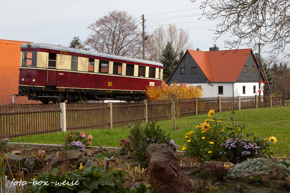 Blumen im Herbst