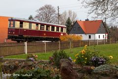 Blumen im Herbst