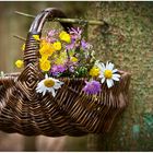 blumen im korb am baum