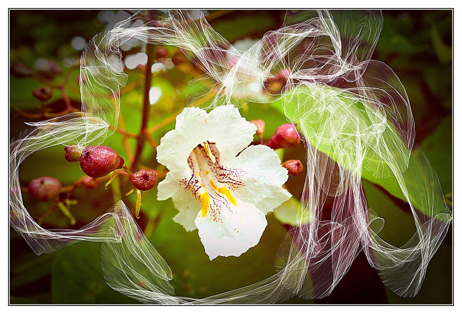 Blumen im Landschaftsgarten