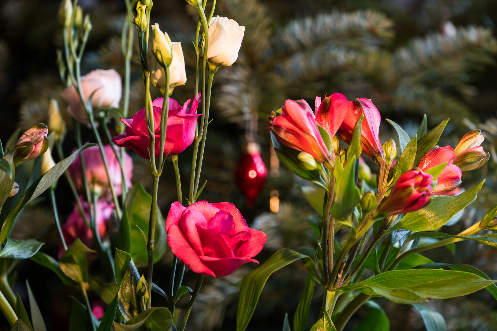 Blumen im Neuen Jahr