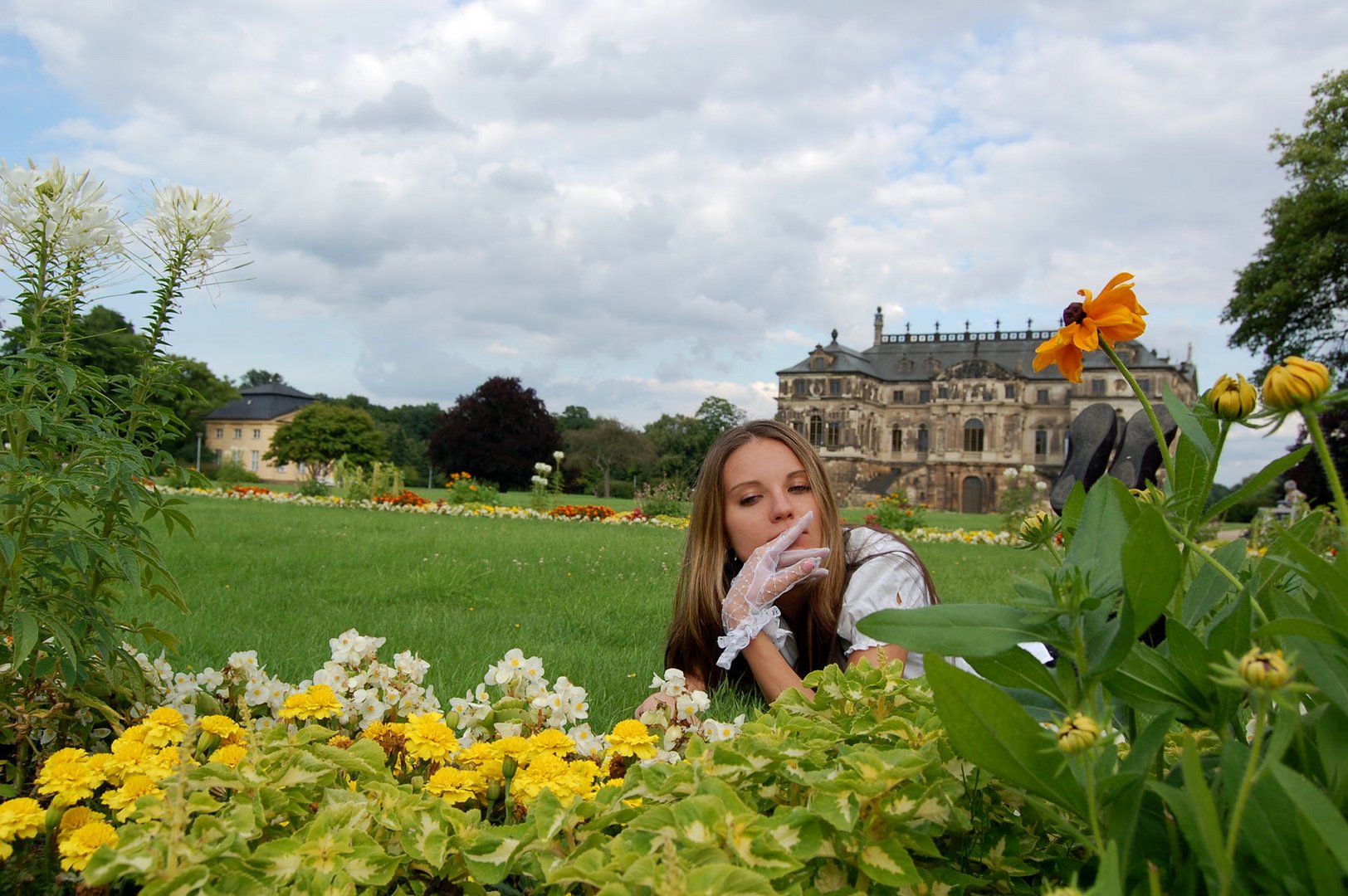 Blumen im Park