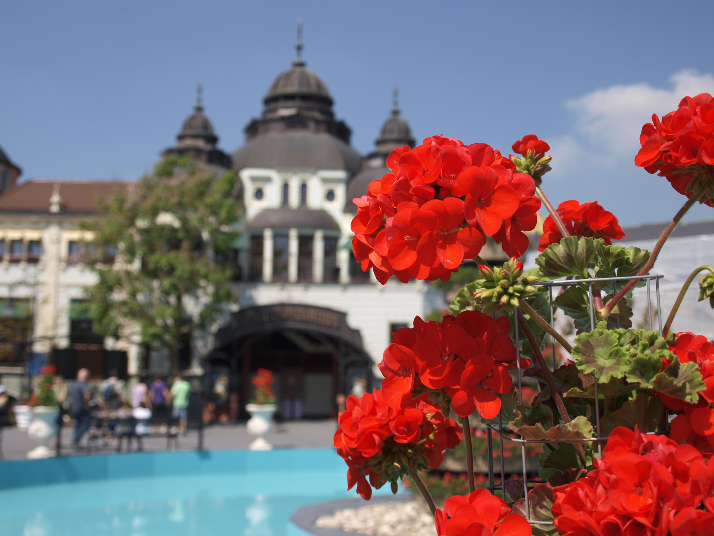 Blumen im Phantasialand