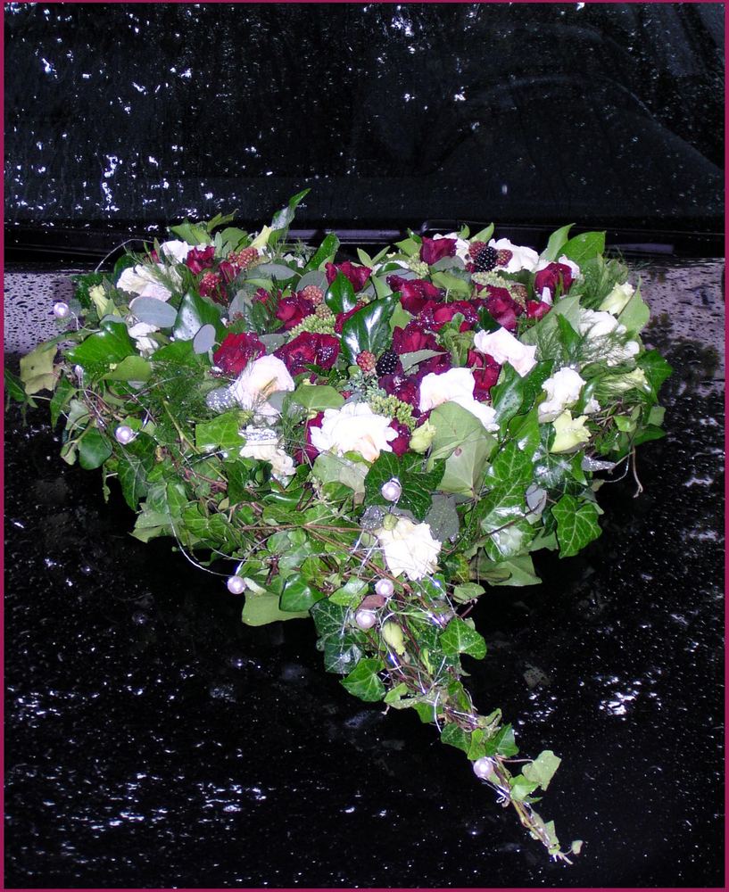 Blumen Im Regen Blumen Im Regen