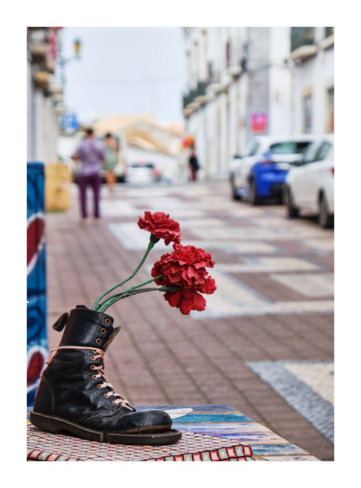 Blumen im Schuh