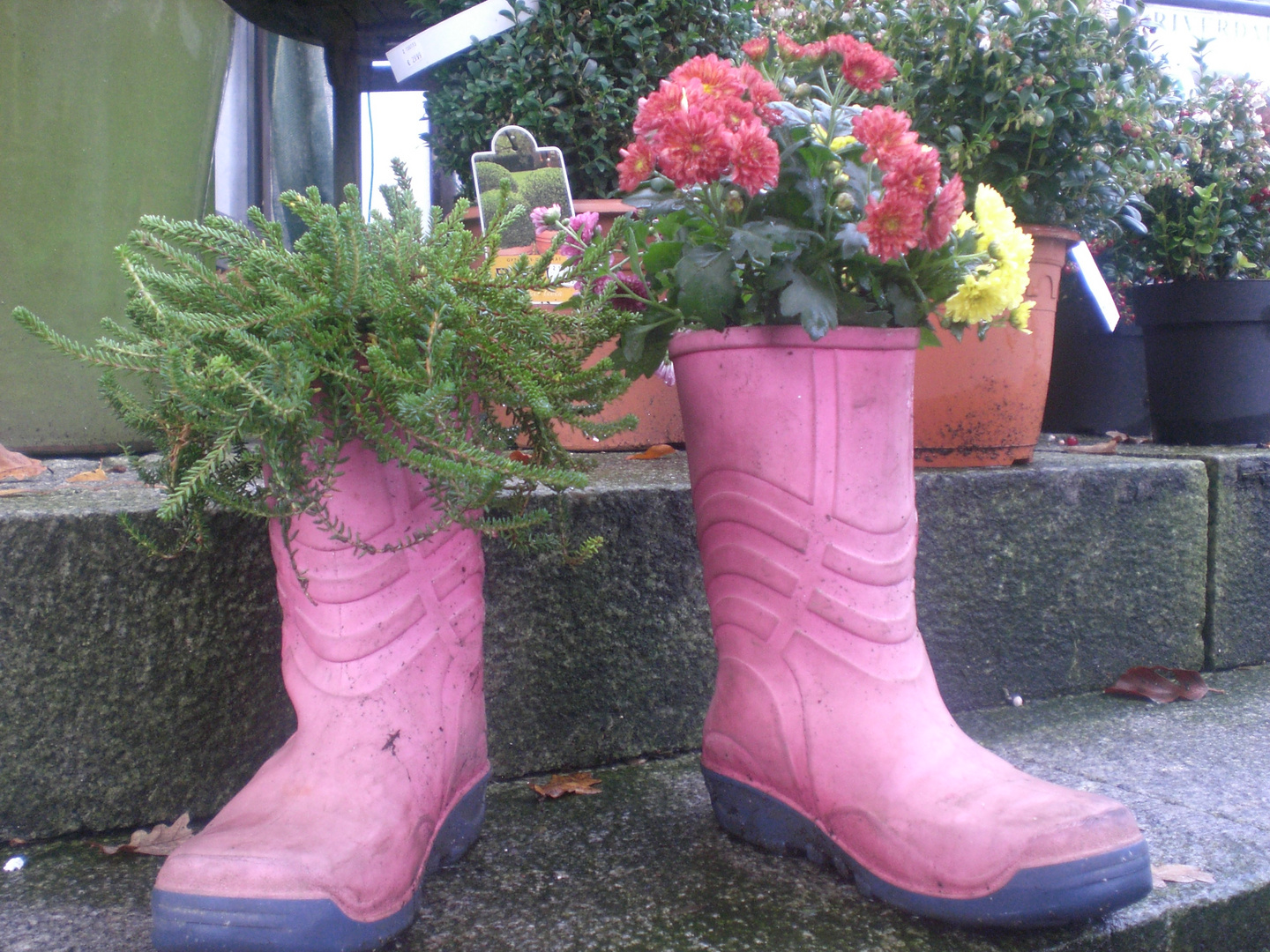 Blumen im Stiefel