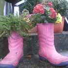 Blumen im Stiefel