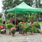 ...Blumen im Straßenverkauf...