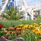 Blumen im Warner-Brother-Moviepark.