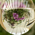 Blumen im Weinglas