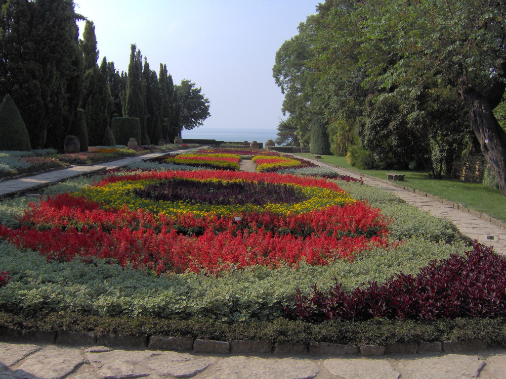 Blumen in Baltschik (Bulgarien)