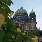 Blumen in Berlin