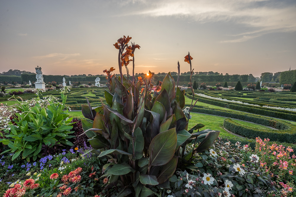 Blumen in den Herrenhäuser Gärten