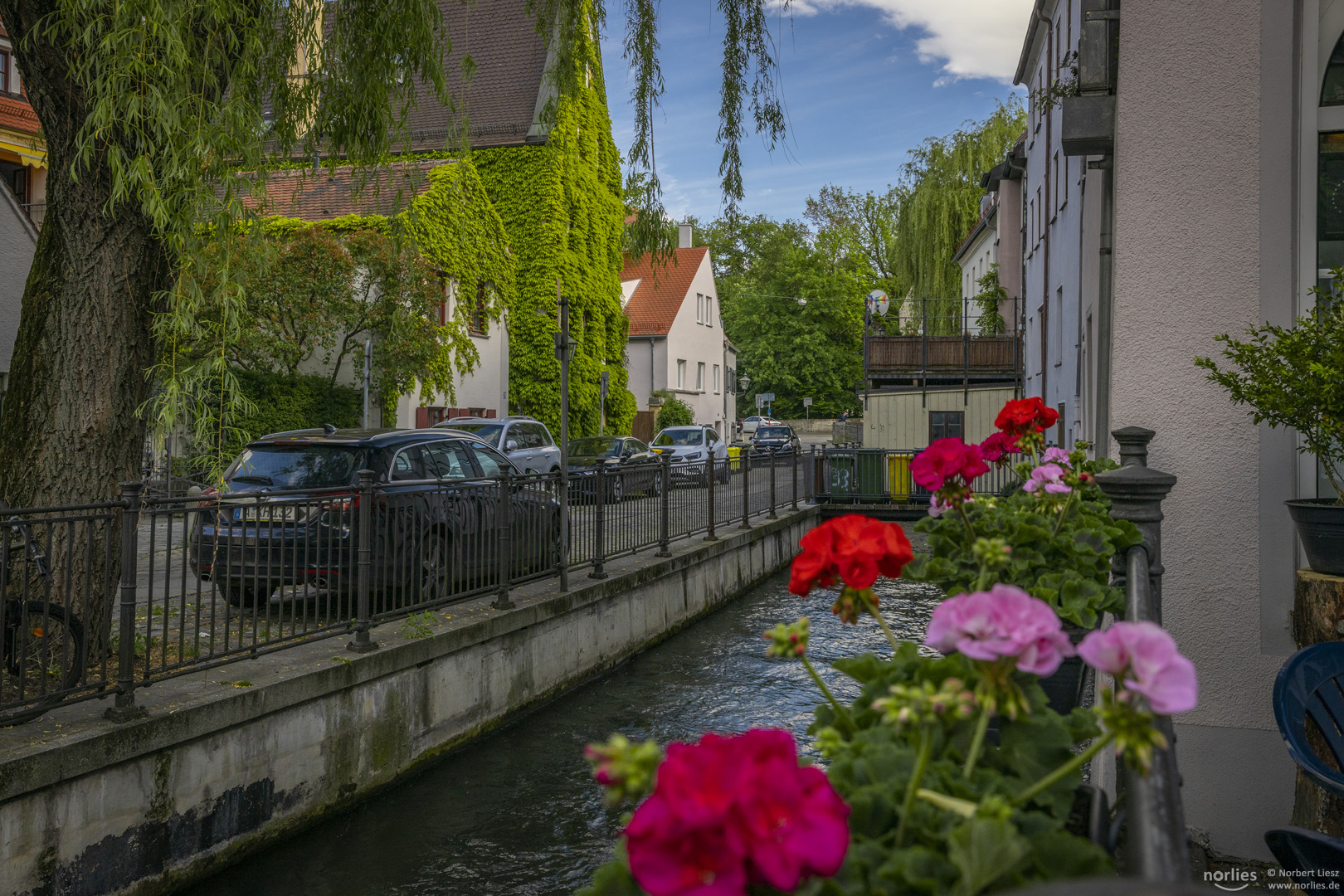 Blumen in der Schwibbogengasse