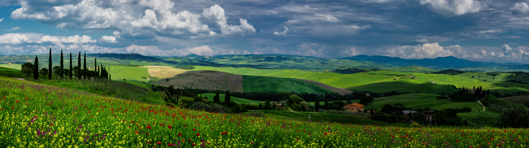 Blumen in der Toskana