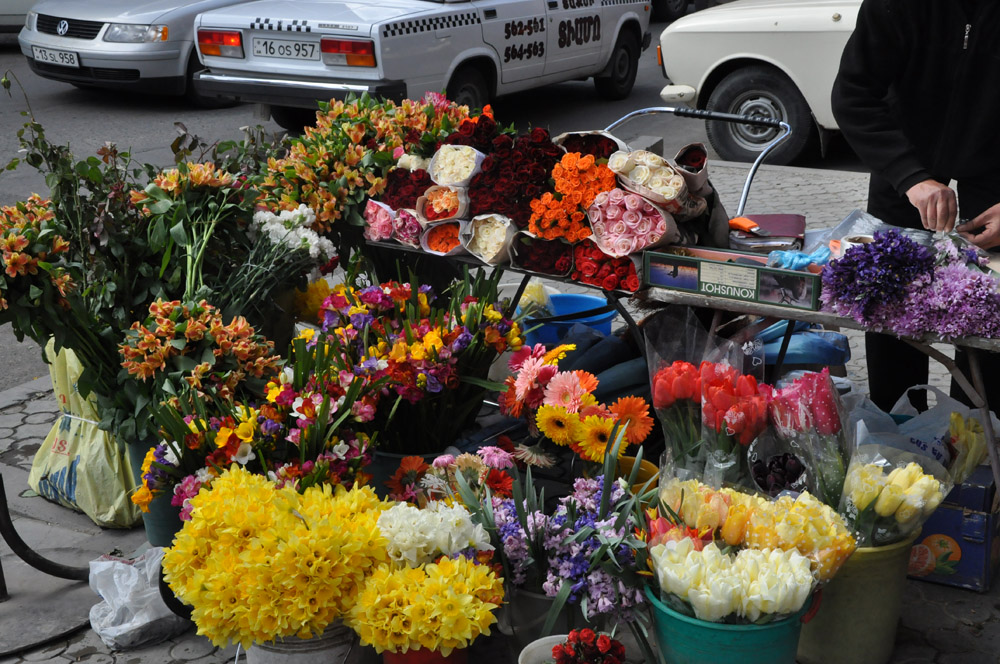 Blumen in die Stadt Foto & Bild natur, pflanzen, youth Bilder auf