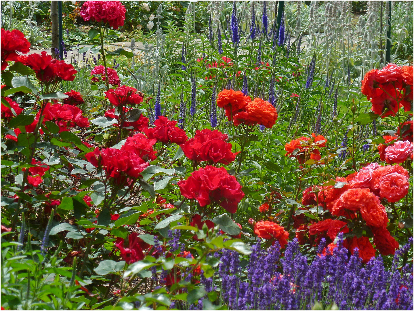 Blumen in Hülle und Fülle