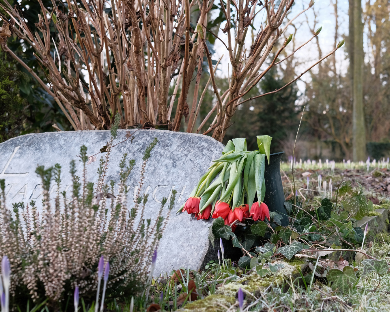 Blumen in Trauer