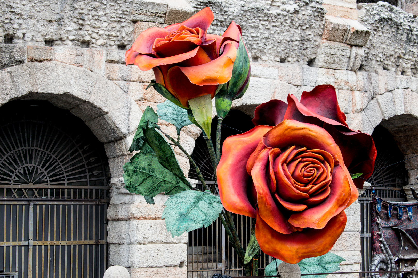 Blumen in Verona