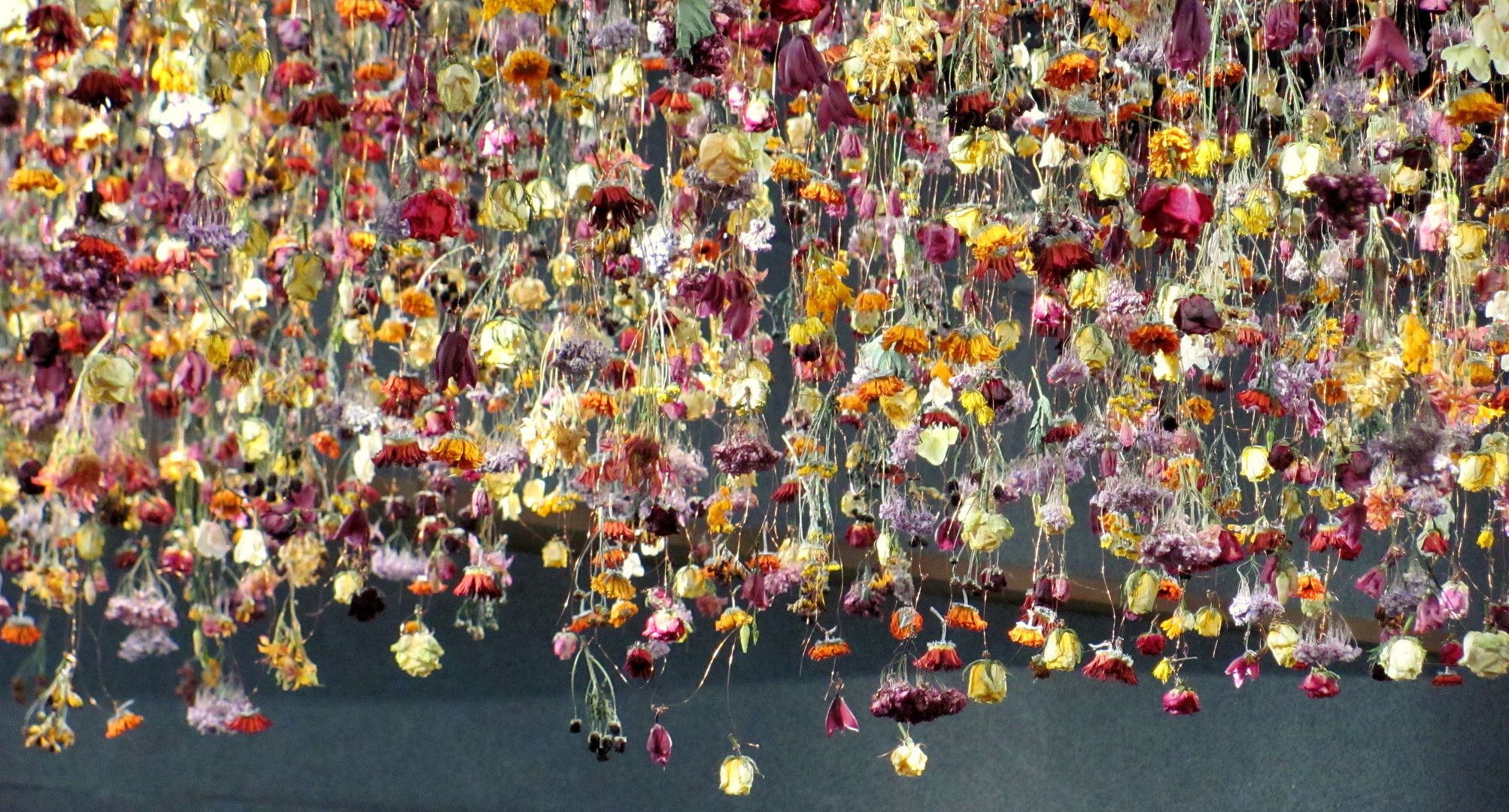 Blumen Installation