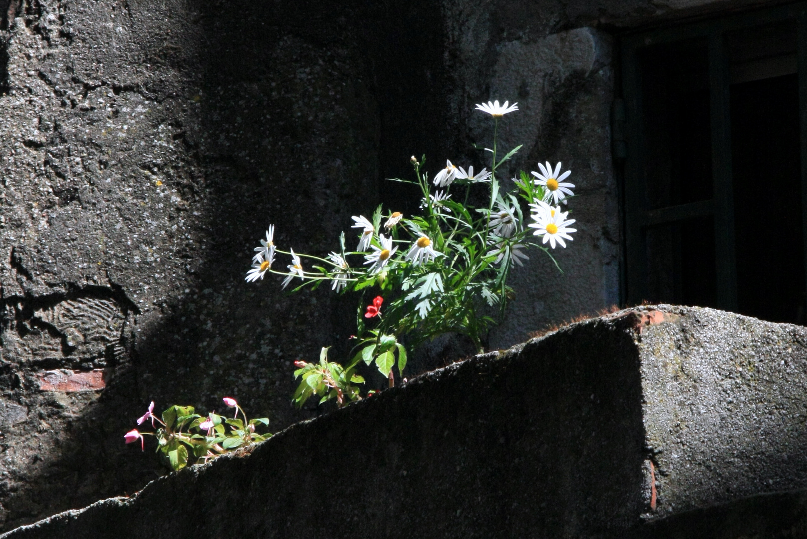 BLUMEN & MAUERWERK