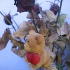 Blumen mit Teddy