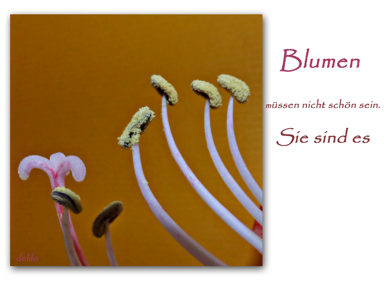 Blumen müssen nicht schön sein....