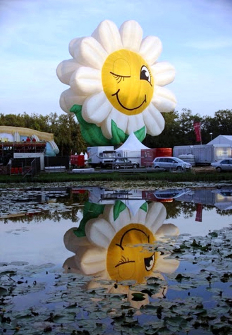 Blumen nicht für die Vase............