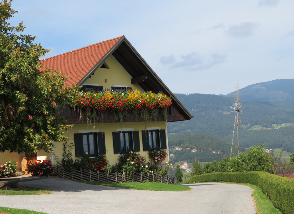  Blumen noch wie verrückt! .........